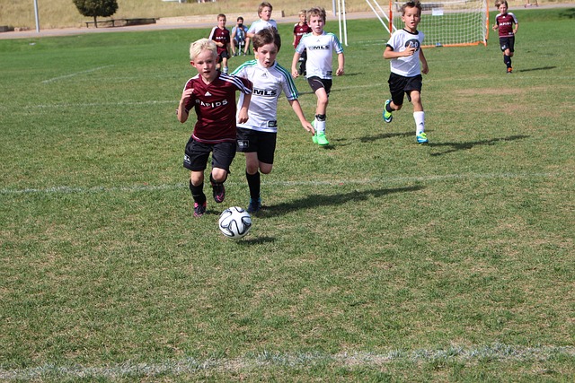 个球队的战 个球队的战