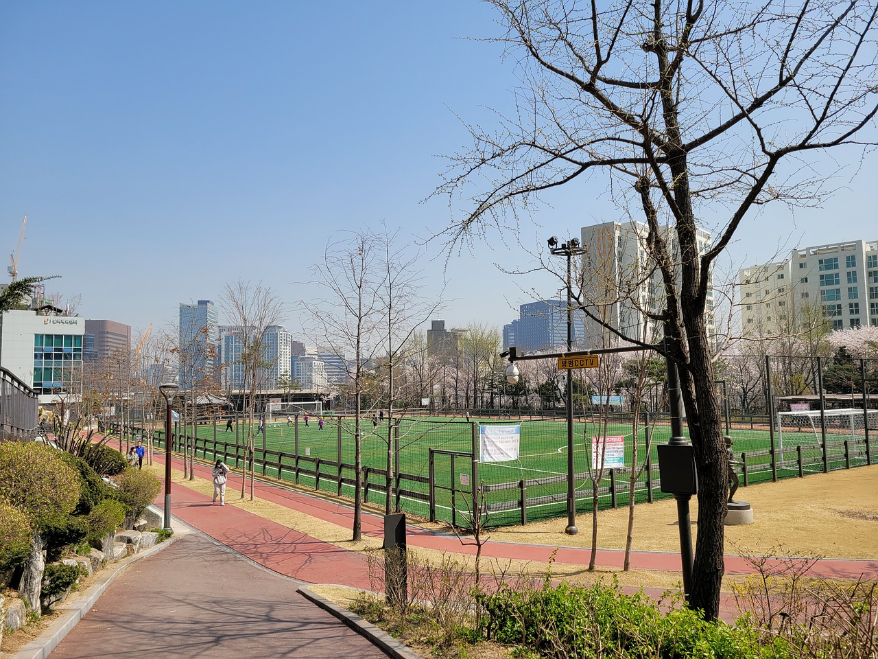 聖路易斯城