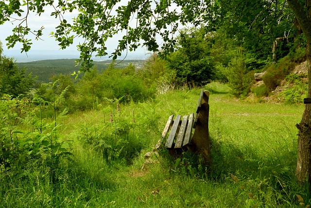 分进攻线的 分进攻线的