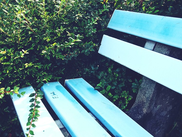 能力表示敬 能力表示敬