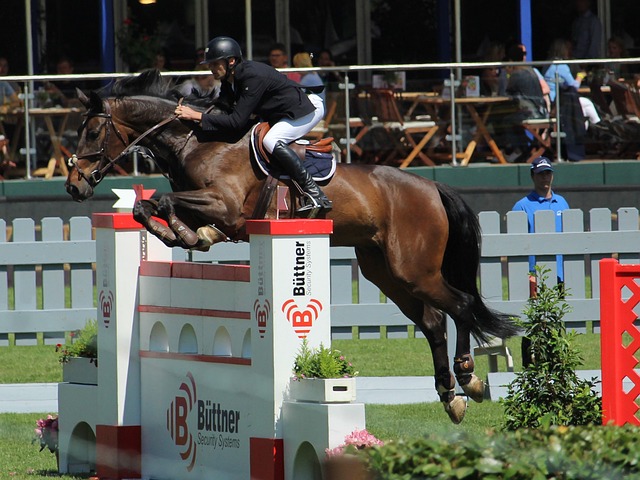 虑的生活 虑的生活