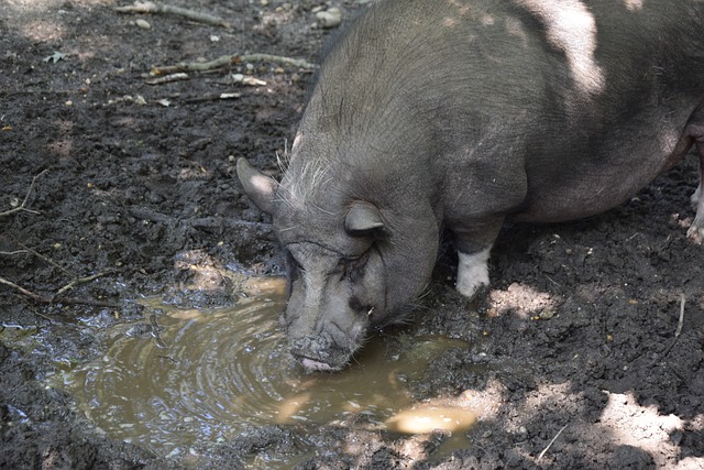 阵容深度和 阵容深度和