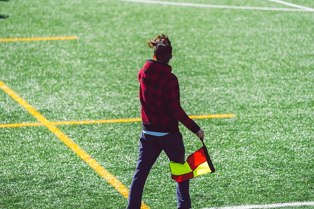 不仅能提升 不仅能提升