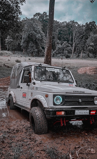 在某些情况 在某些情况